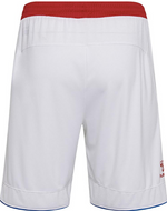 Denmark Home Shorts