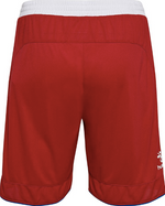 Denmark Away Shorts